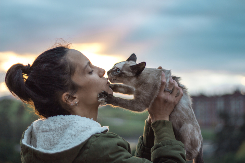 Żal po śmierci zwierzęcia domowego może być równie silny, jak u członka rodziny, jak wynika z badania