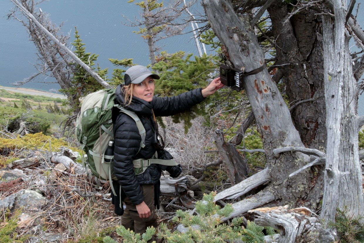 Dr hab. Katarzyna Nowak, fot. Instytut Biologii Ssaków PAN - Mammal Research Institute PAS