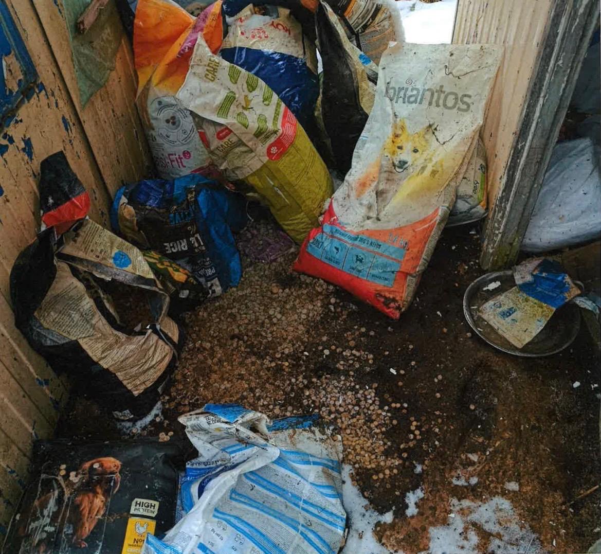 Nielegalne schronisko w Kuflewie (gmina Mrozy). Fot. Ministerstwo Rolnictwa i Rozwoju Wsi