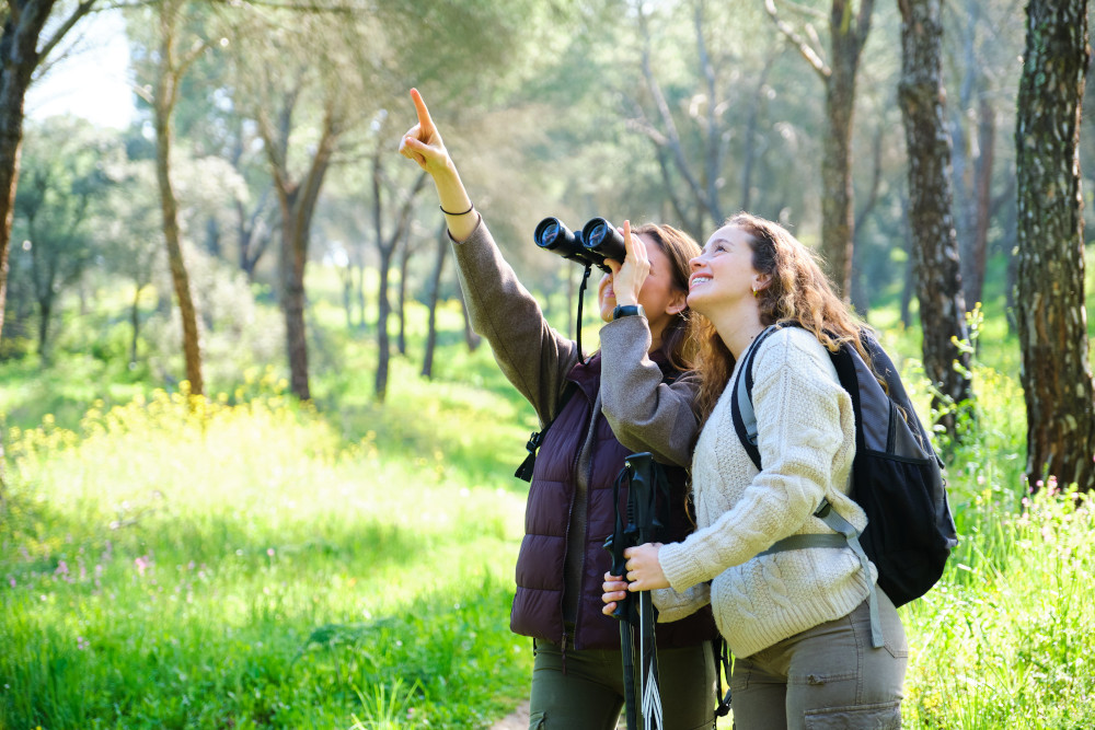 Obserwacja ptaków a mózg – jak hobby chroni przed starzeniem i wspiera pamięć