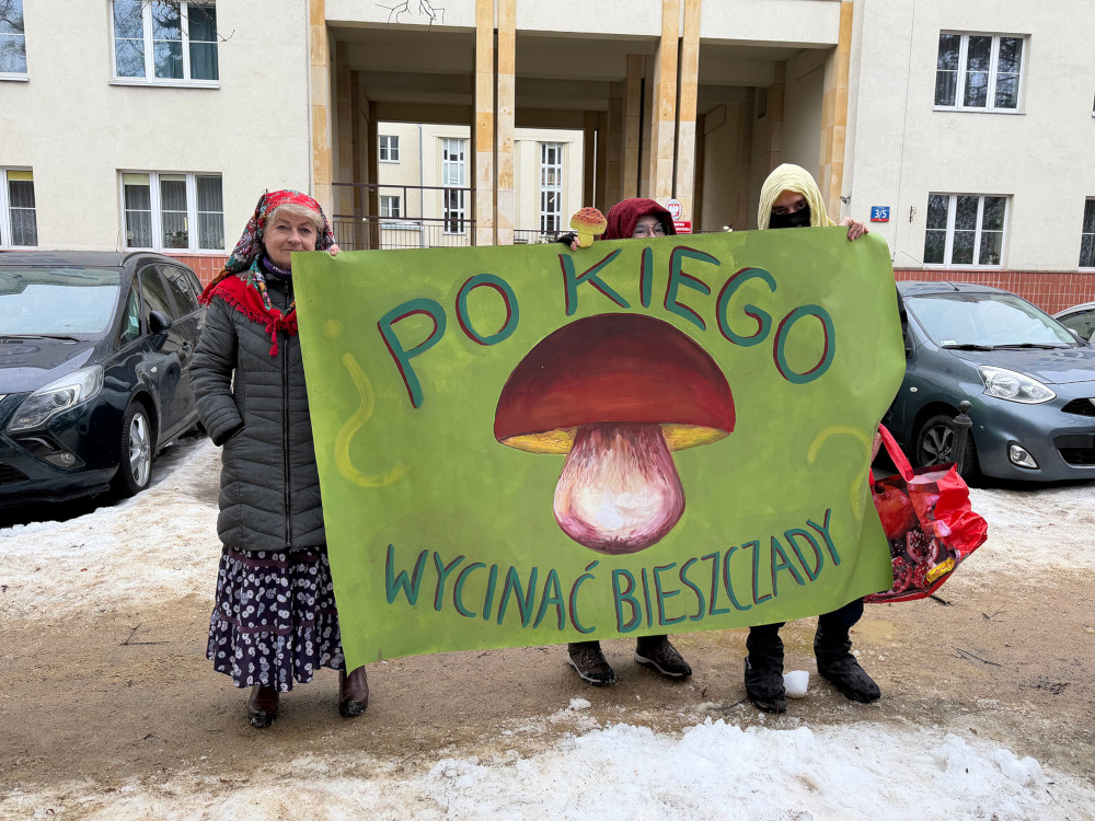 Grzybiarki zaprotestowały pod Ministerstwem Klimatu i Środowiska w obronie bieszczadzkich lasów