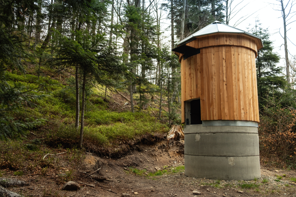 Leśne chatki dla nietoperzy. Nowa forma ochrony w europejskim projekcie 23.01.2026 drukuj Chatka dla nietoperzy. Fot. archiwum Lasów Państwowych