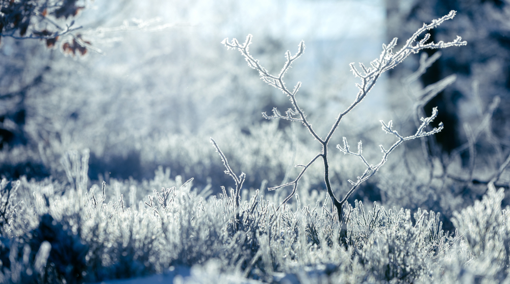 Pogoda na poniedziałek, 16 lutego 2026 roku