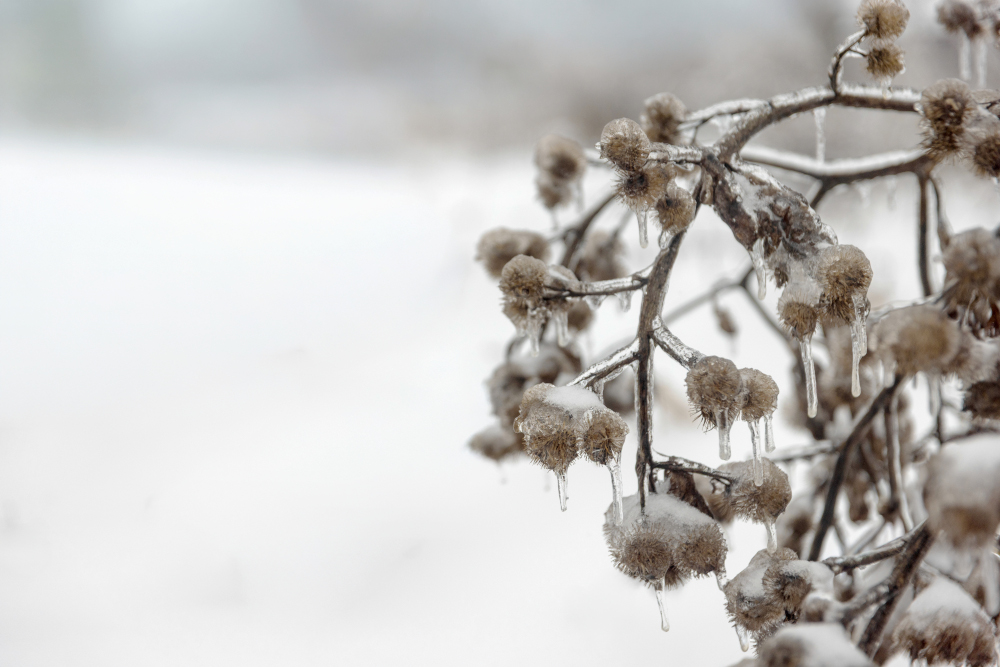 Zmiana pogody w Polsce: mróz odpuści, ale pojawi się gołoledź i opady marznące