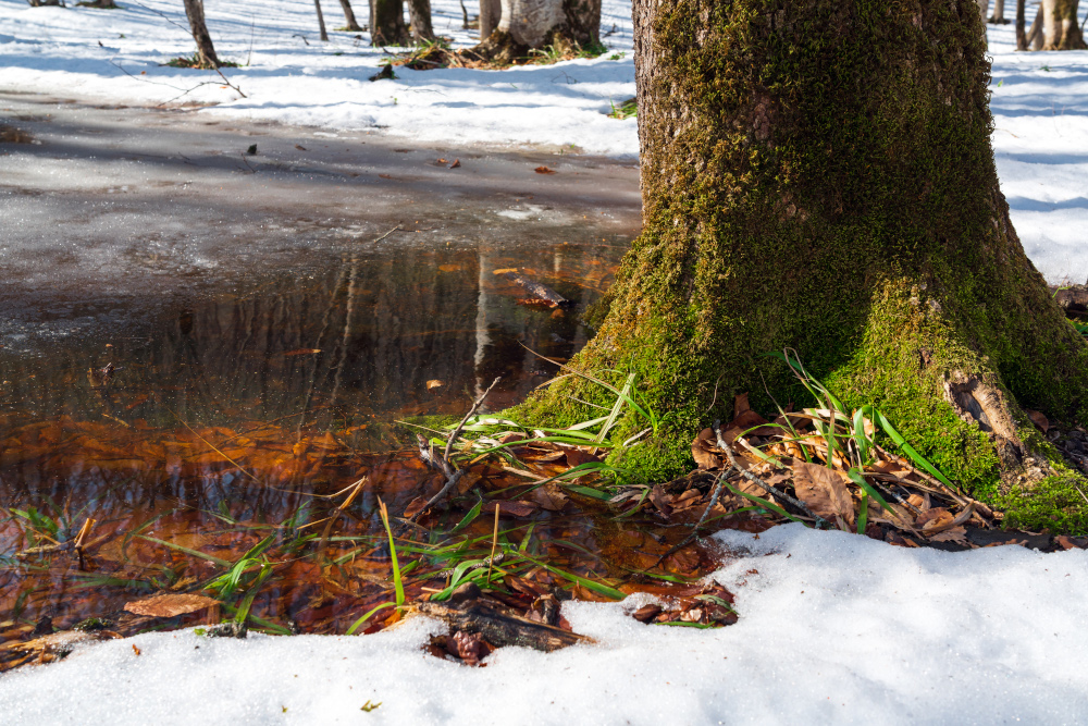 Pogoda na 24 lutego 2026: zmienna aura z pierwszymi śnieżnymi akcentami