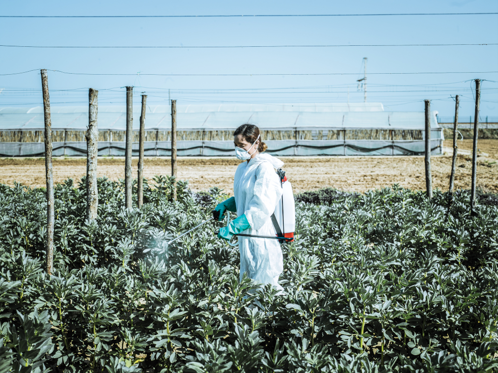 Bayer zgadza się na rekordową ugodę 7,25 mld dolarów w sprawie Roundupu – precedens w sporach o rakotwórcze herbicydy