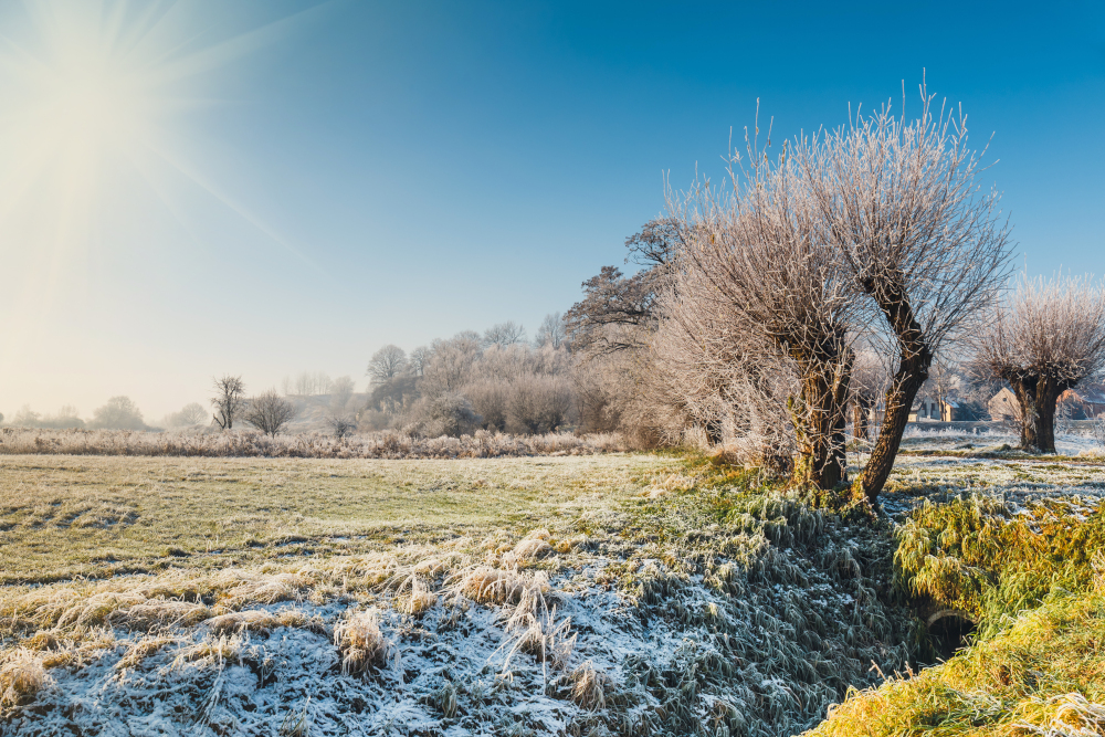 Styczeń 2026: mróz w Europie, pożary na południu. Globalna temperatura blisko 1,5°C