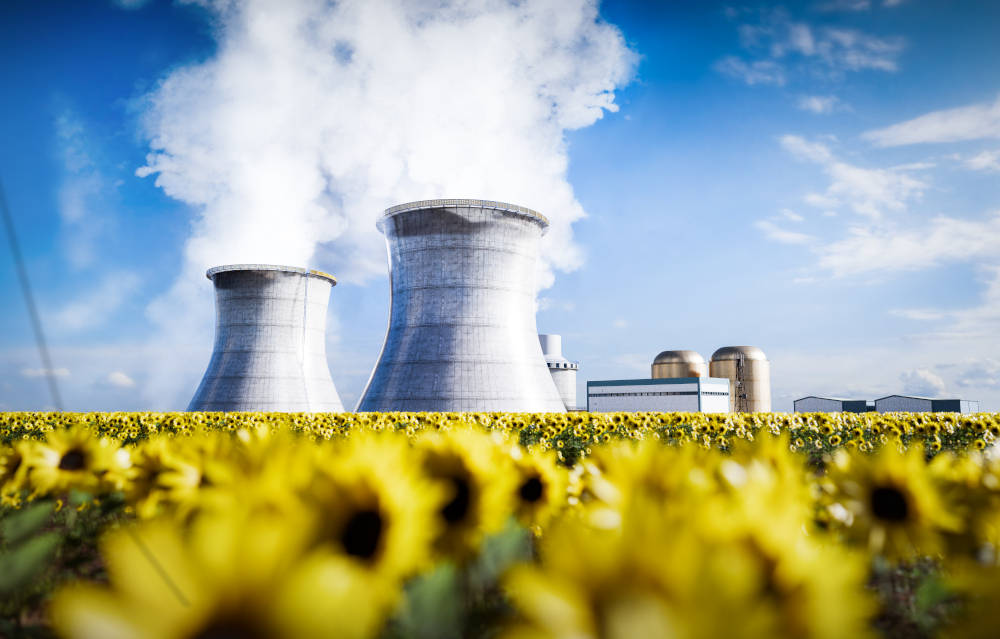 Rząd upraszcza budowę atomu w Polsce