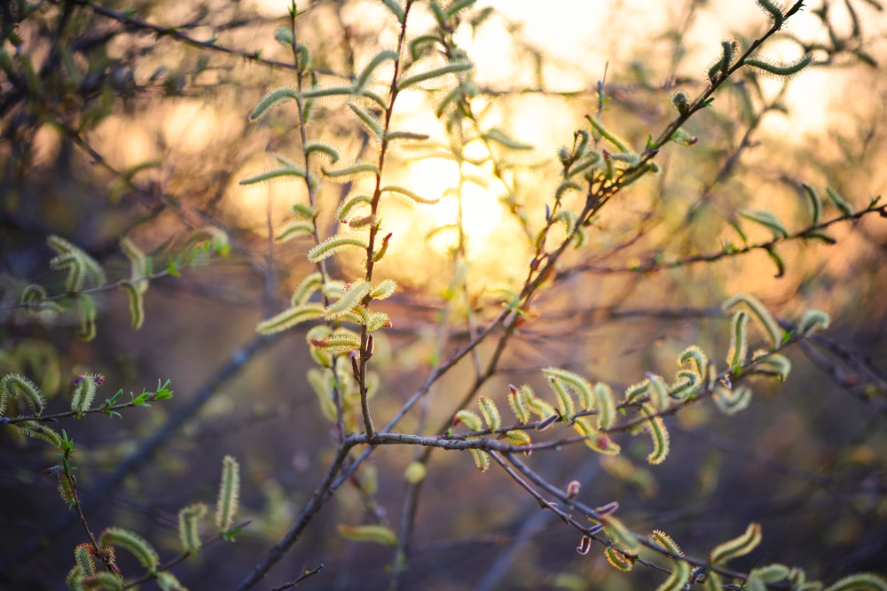 Pogoda na weekend, 14-15 marca