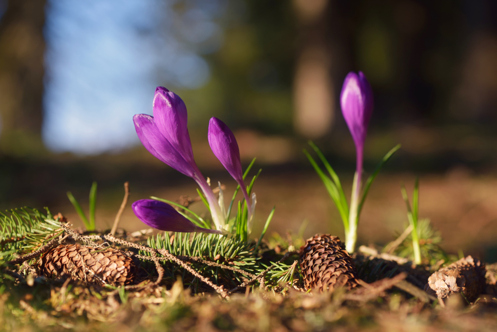 Pogoda na wtorek, 17 marca