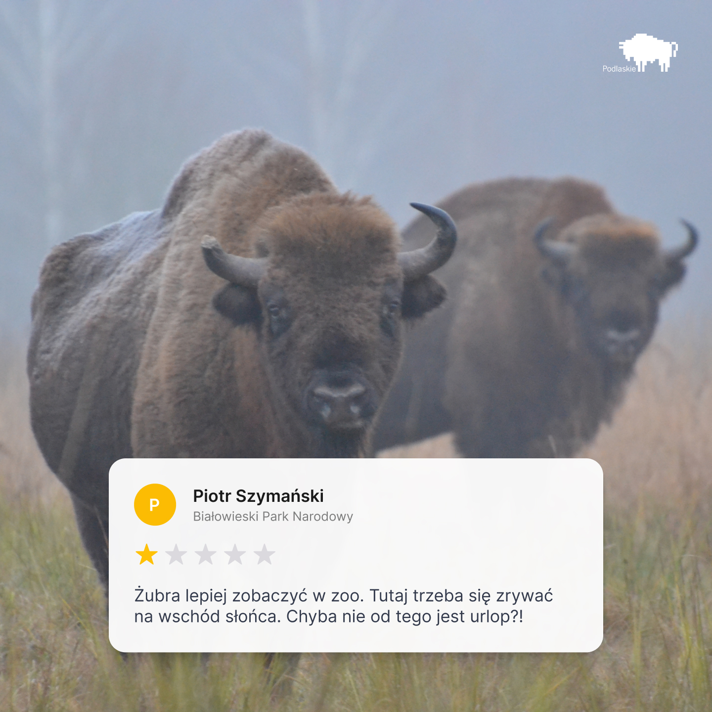 Województwo Podlaskie przedstawia humorystyczną kampanię turystyczną