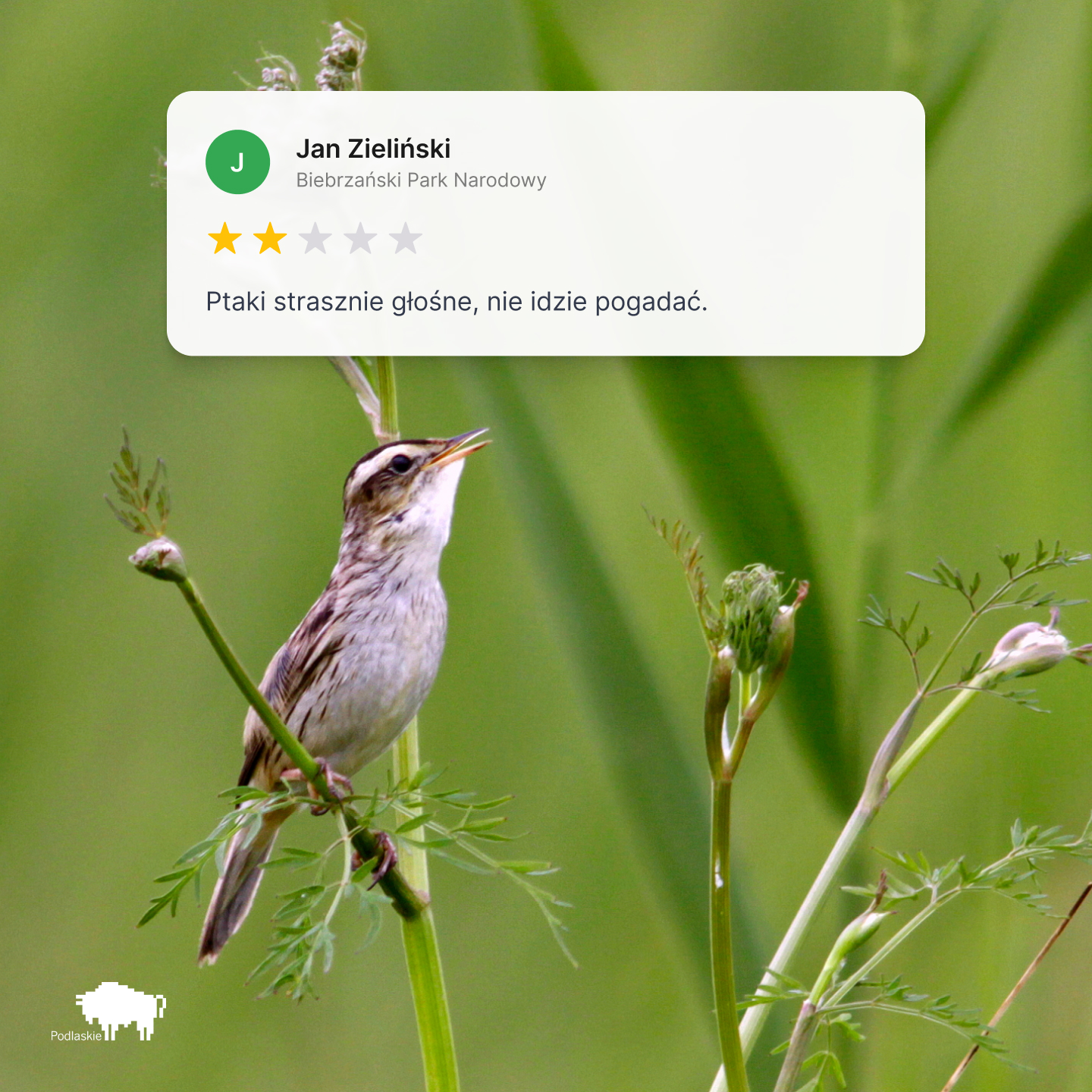 Majówka w Podlaskiem z kampanią Rozczaruj się w Naturze