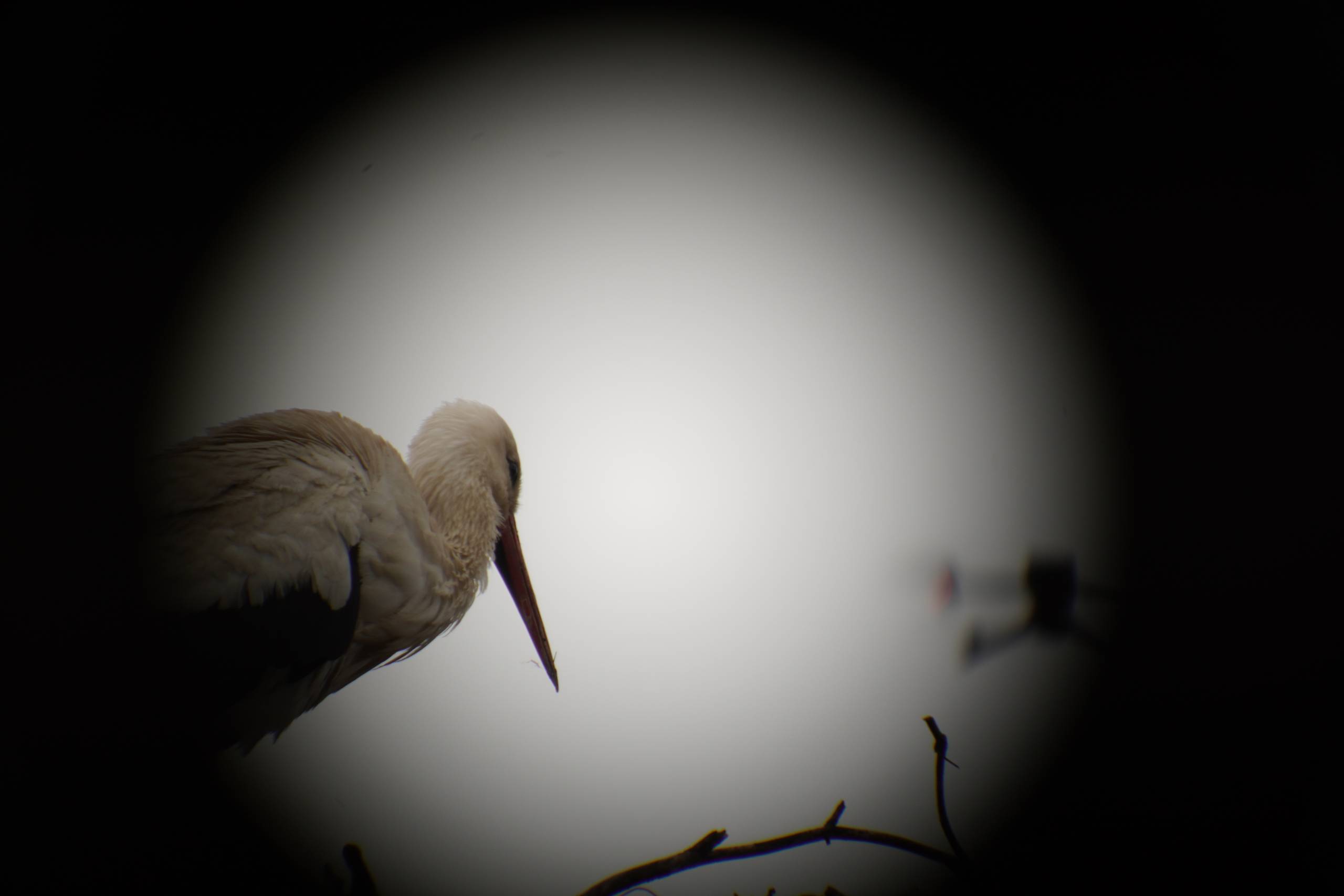 fot. https://up.poznan.pl