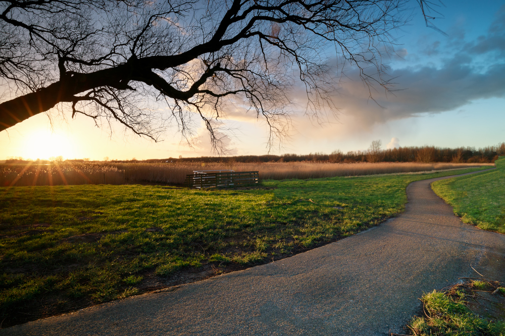 Pogoda na piątek, 17 kwietnia