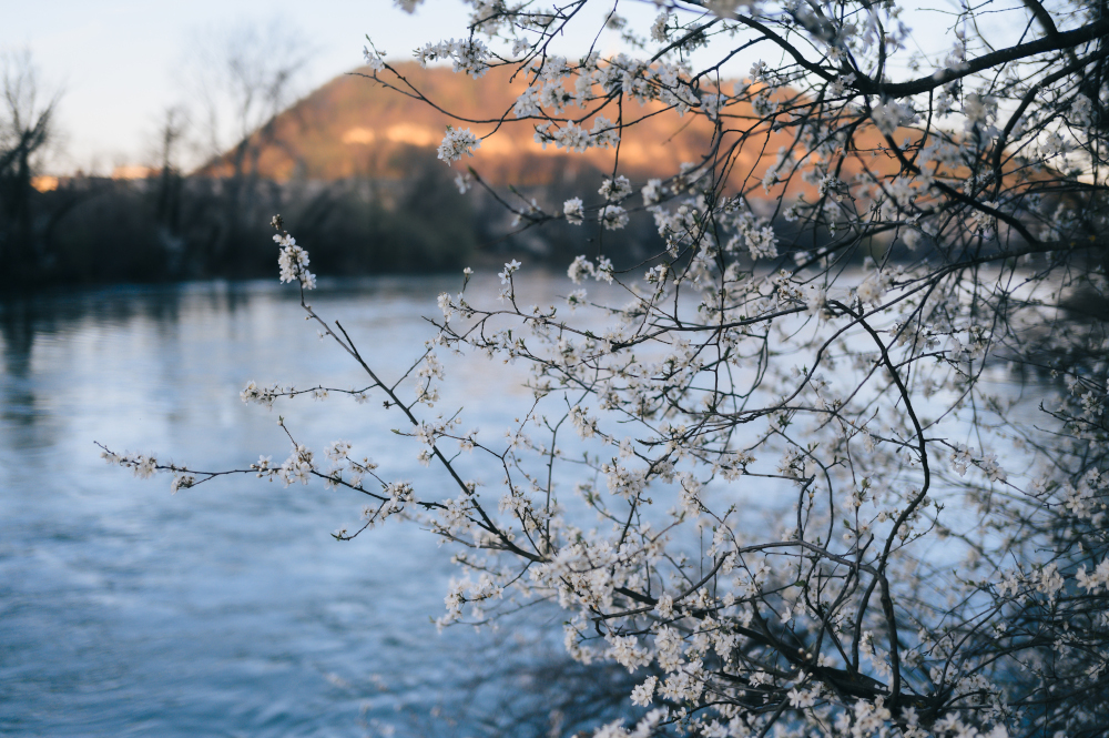 Pogoda na weekend, 25-26 kwietnia