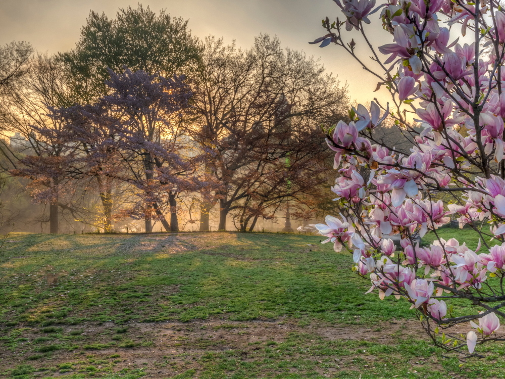 Pogoda na wtorek, 21 kwietnia 2026 roku