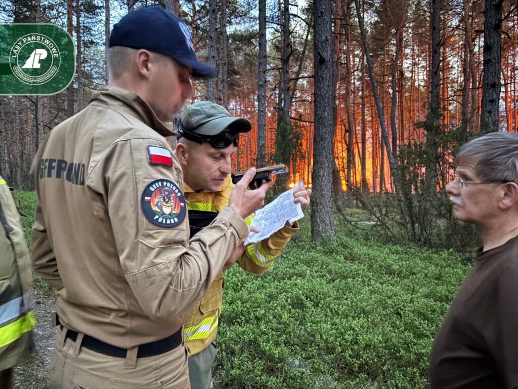 Zaczęło się od prywatnego lasu. Ponad 100 hektarów zielonych płuc Mazowsza stanęło w ogniu