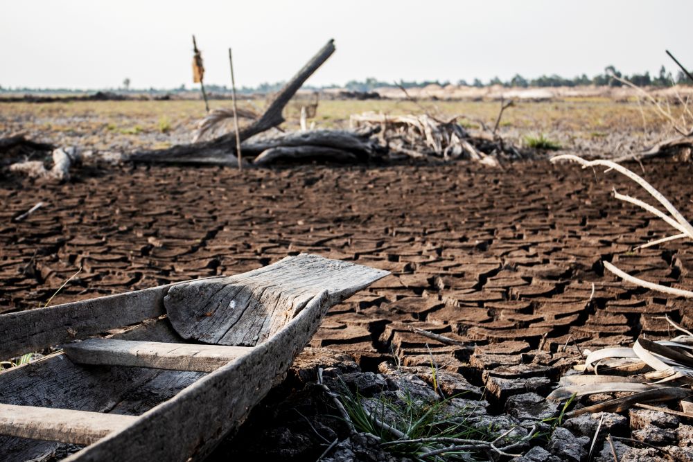 „Super El Niño” nadciąga? Naukowcy przewidują gwałtowny wzrost ekstremalnych zjawisk pogodowych