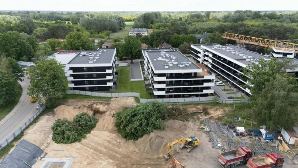 Koparki zniszczyły wiekowe dęby w Nowym Dworze Mazowieckim. Deweloper pod lupą