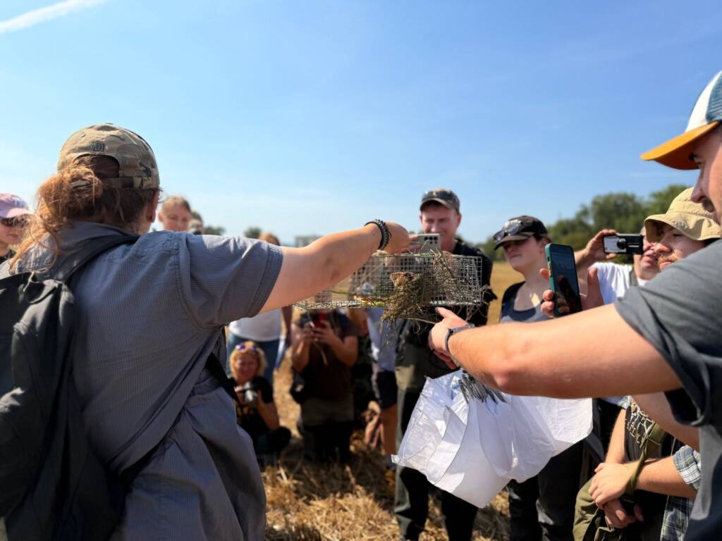 Górki Czechowskie w Lublinie – spór o przyrodę, chomika europejskiego i zabudowę