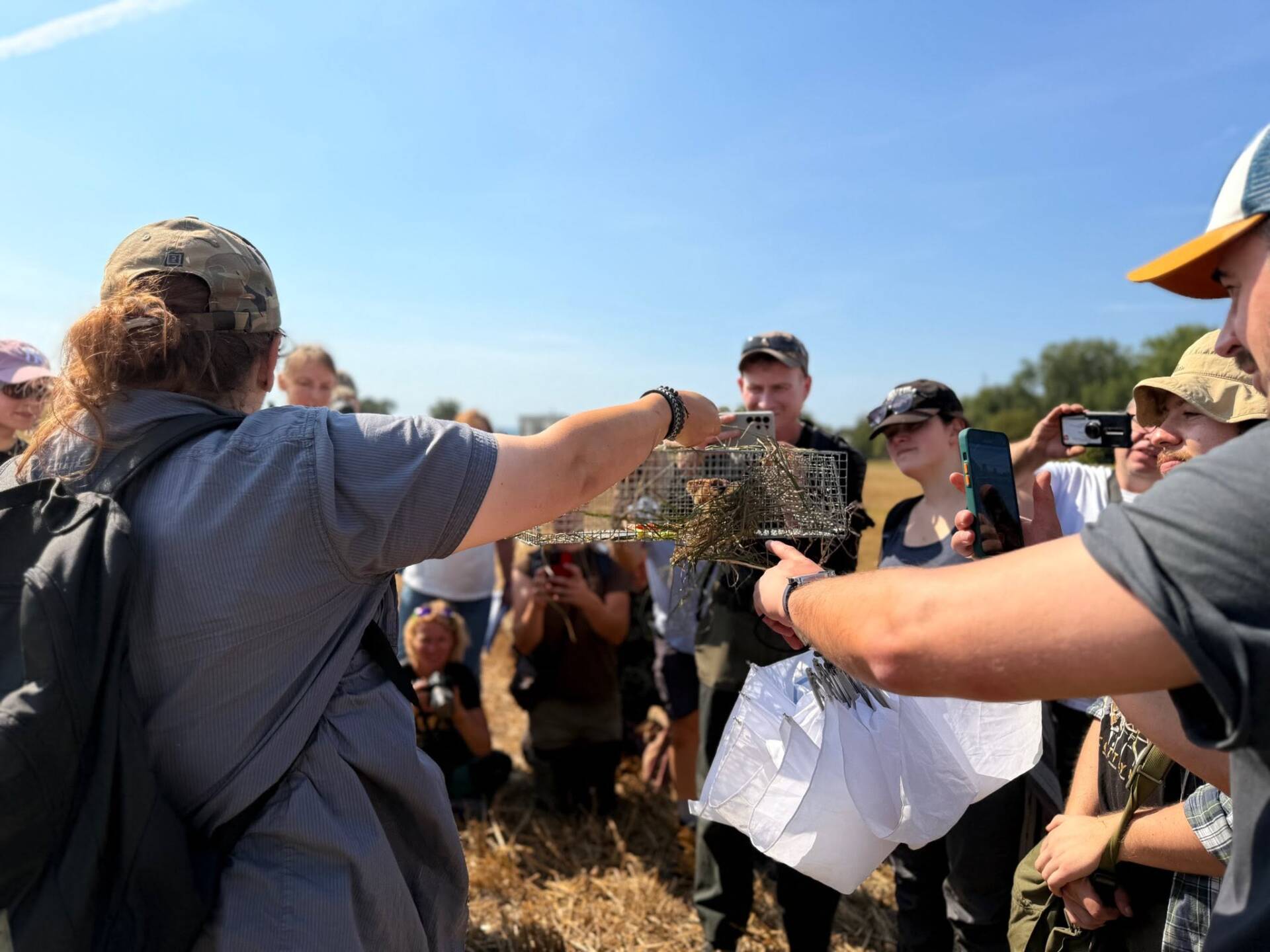 Górki Czechowskie w Lublinie – spór o przyrodę, chomika europejskiego i zabudowę