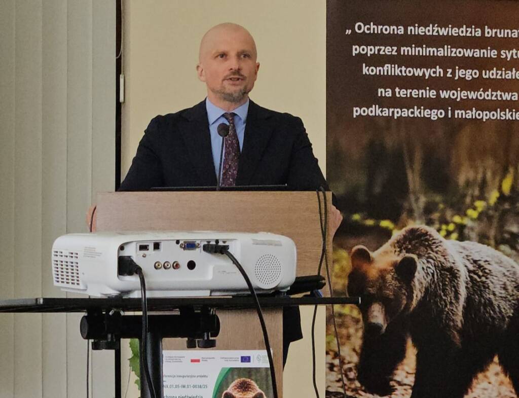 Niedźwiedzie na Podkarpaciu. Rusza program zwiększający bezpieczeństwo ludzi i zwierząt