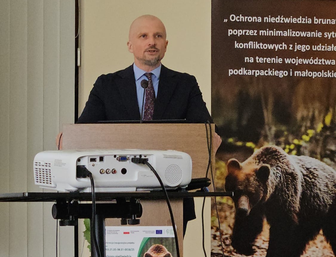 Niedźwiedzie na Podkarpaciu. Rusza program zwiększający bezpieczeństwo ludzi i zwierząt