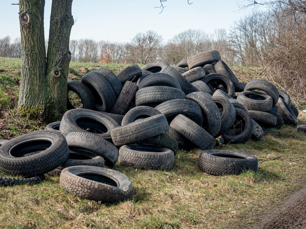 Opony w lesie - ile trwa sprzątanie, ile kosztuje